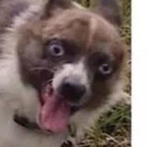 Meet your Posher, Brendan