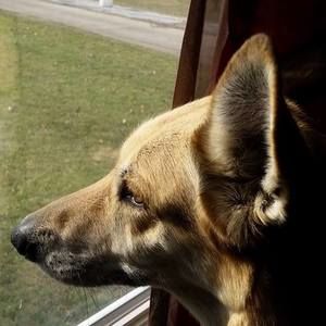 Meet your Posher, Liz