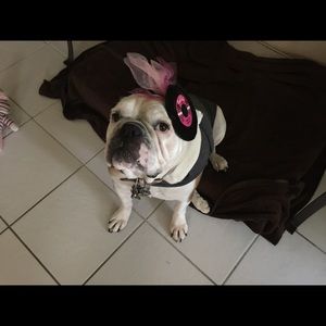 Meet your Posher, Gabriel