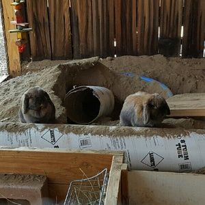 Meet your Posher, Deanna