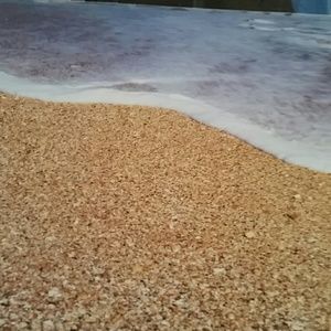 Meet your Posher, Suzanne