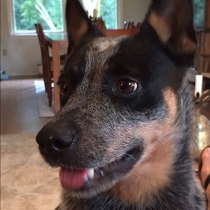 Meet your Posher, Kellie