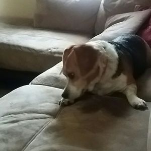 Meet your Posher, Lora