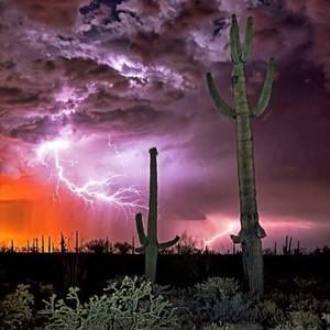 Meet your Posher, Marilynn