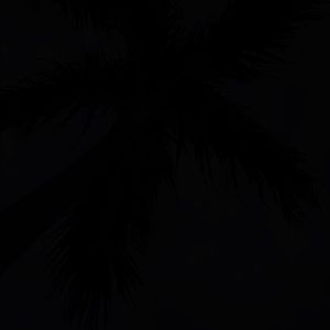 Meet your Posher, Zoe