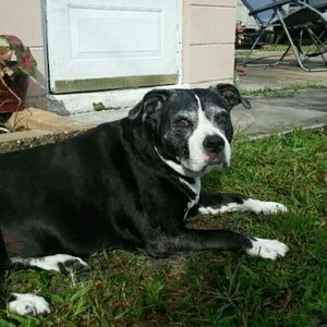 Meet your Posher, Jesse