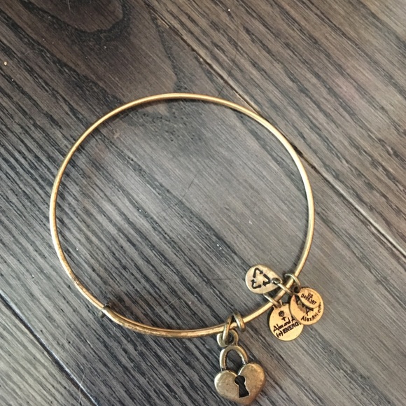 Alex and Ani heart locket bracelet