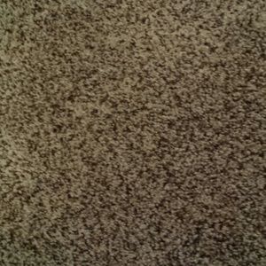 Meet your Posher, Anne