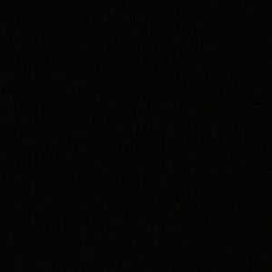 Meet your Posher, Lily