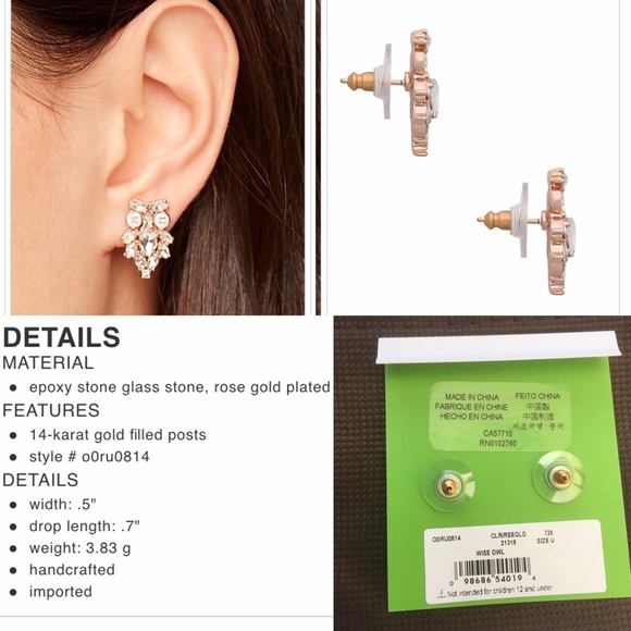 Kate Spade ♠️Wise Owl Studs - Picture 4 of 4