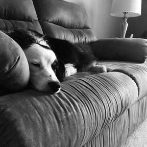 Meet your Posher, Beth