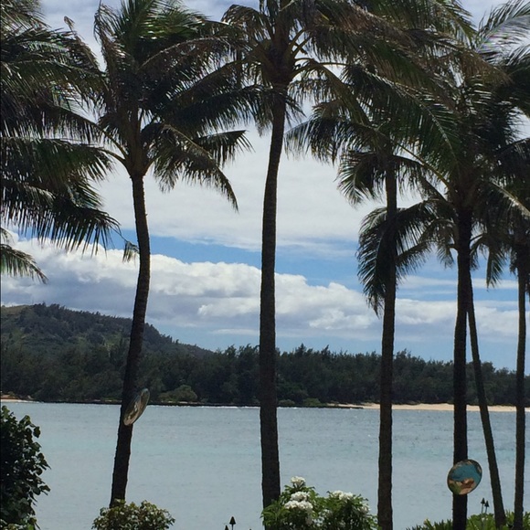 Meet your Posher, Yenny