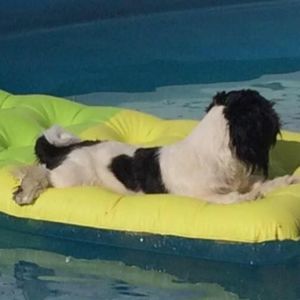 Meet your Posher, Vonda