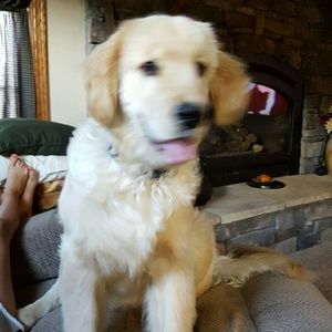 Meet your Posher, Becky