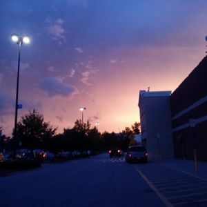 Meet your Posher, Cheyenne