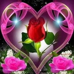 Meet your Posher, Shelia