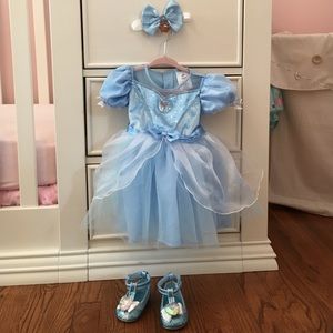 Disney Cinderella Costume
