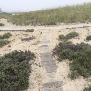 Meet your Posher, Sasha