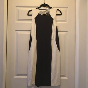 Ann Taylor Dress