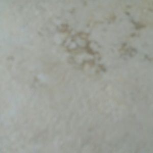 Meet your Posher, Liz