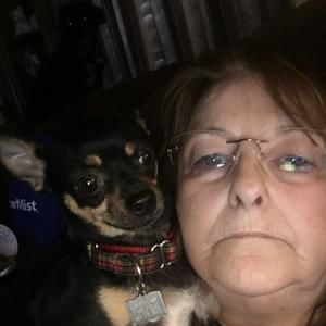 Meet your Posher, Pam