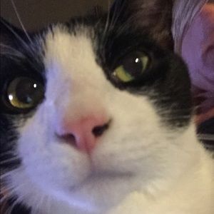 Meet your Posher, Kim