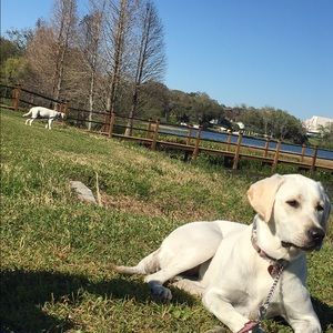 Meet your Posher, Abbi