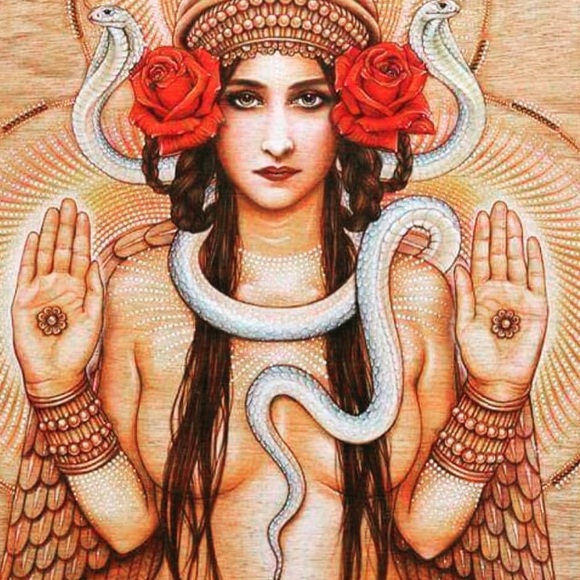 Meet your Posher, Helen - Picture 1 of 1