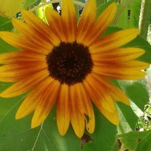 Meet your Posher, Shelly