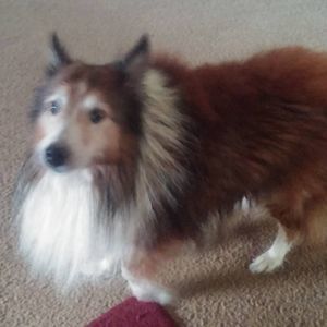 Meet your Posher, Debra