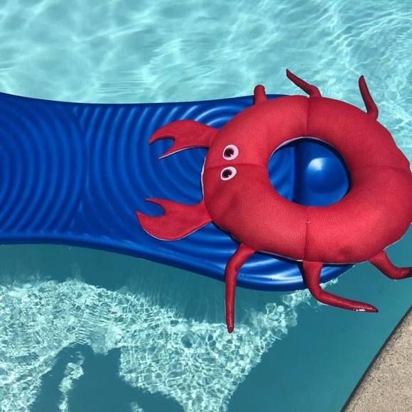 Meet your Posher, Kay - Picture 1 of 1