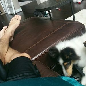 Meet your Posher, Jared