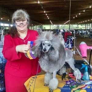 Meet your Posher, Linda