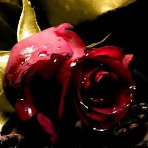 Meet your Posher, Kathie