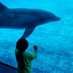 Meet your Posher, Sonia