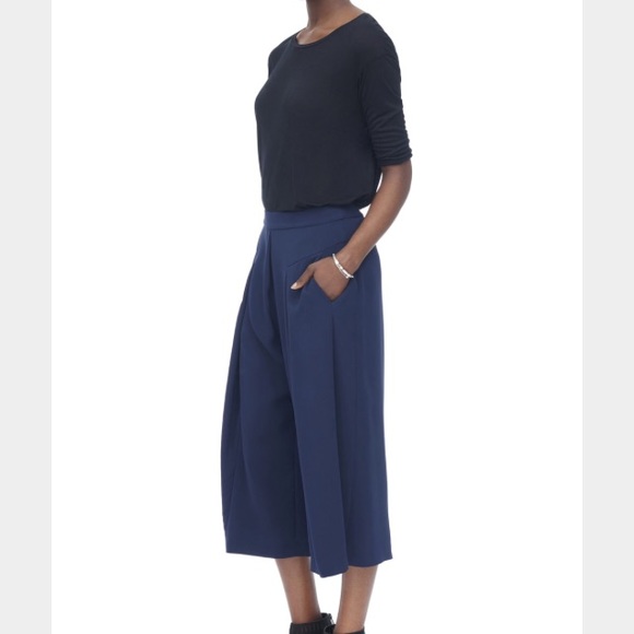 Rebecca Taylor Pants - NWT REBECCA TAYLOR Refined Suiting Culottes sz 8