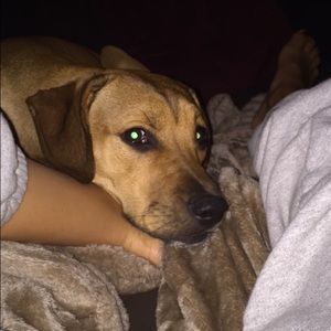 Meet your Posher, Taylor