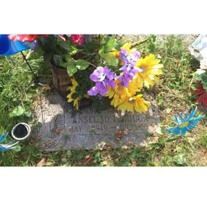 Meet your Posher, Cesar