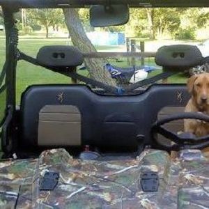 Meet your Posher, Jeffandjane