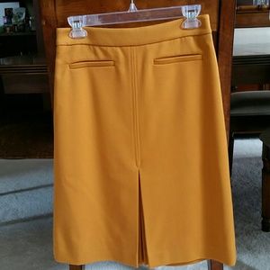 Ann Taylor aline skirt, Sz 2, NWOT