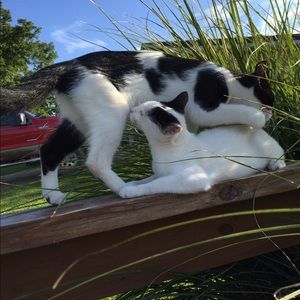 Meet your Posher, Robin