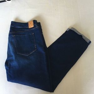 NWOT Dylan George skinny crop jeans