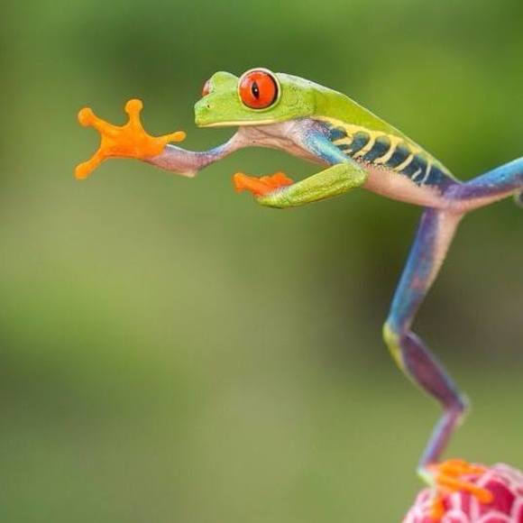 Meet your Posher, Cindy - Picture 1 of 1