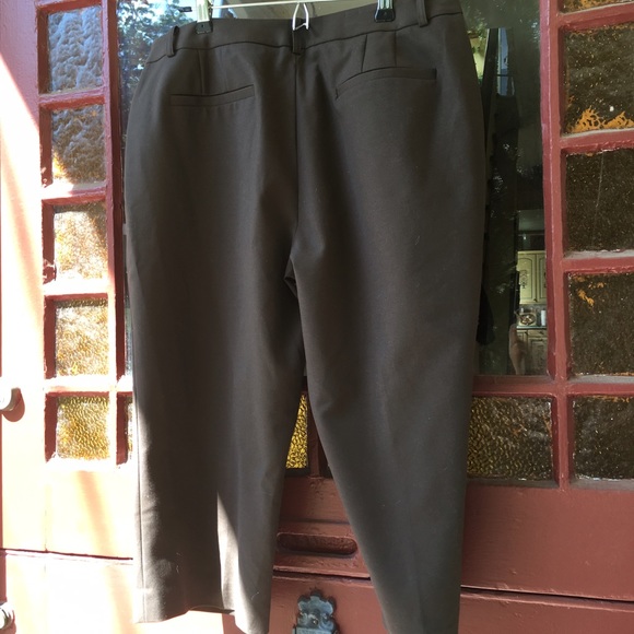 ANN TAYLOR NEW BROWN CAPRI PANTS-SIZE 12 - Picture 2 of 4