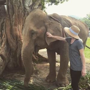 Meet your Posher, Lindsay