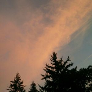 Meet your Posher, Quinn