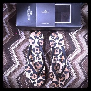 ‼️SALE‼️Brand new Coach leopard flip flops size 11