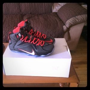 Lebron 12 Crimson size 9