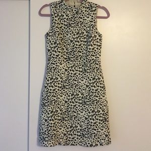 Cute black and white leopard Loft dress