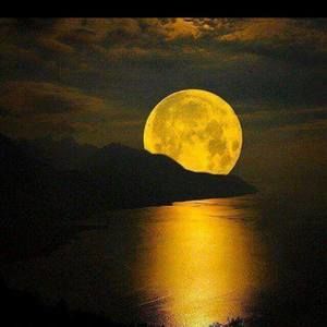 Meet your Posher, Barb